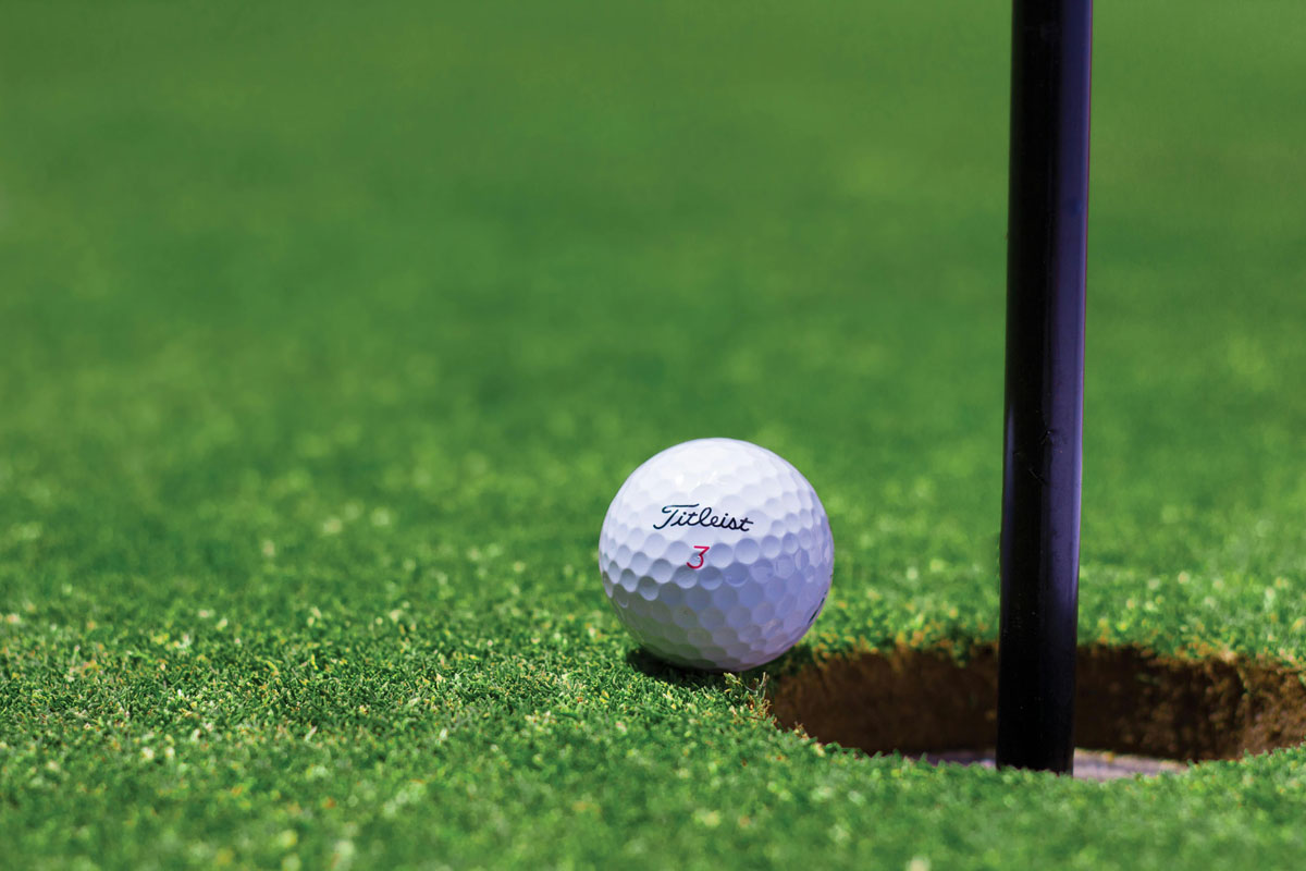 Nancy Lopez's Contributions