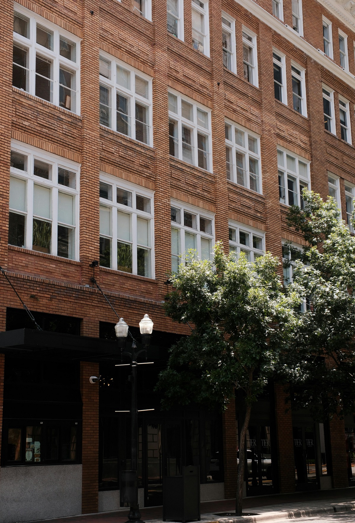 Clark Gable's Stardom